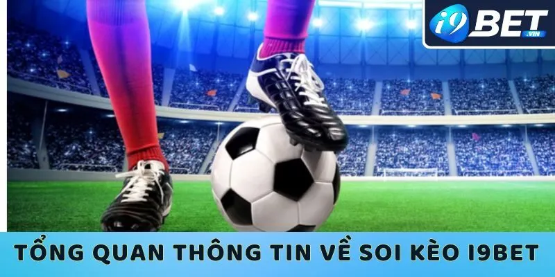 Tìm hiểu tổng quan các thông tin về soi kèo cá độ I9bet 